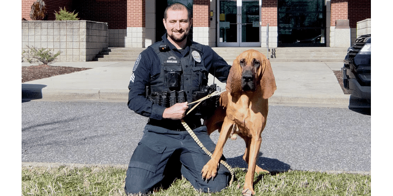 Meet Bo, the winner of the 2024 Humane Hero Dog award – NBC10 Philadelphia