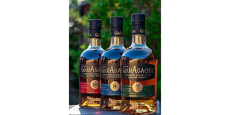 How Oak Shapes Scotch Whisky: GlenAllachie’s Virgin Oak Series