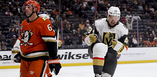 Nicolas Roy, Tomas Hertl and Pavel Dorofeyev score and Golden Knights hold on to beat Ducks 3-2