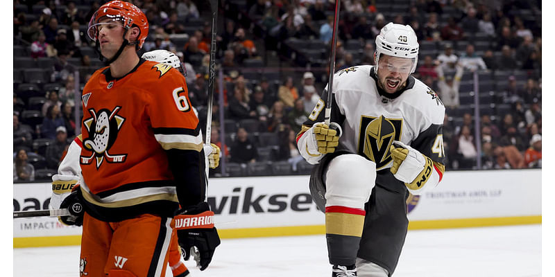 Nicolas Roy, Tomas Hertl and Pavel Dorofeyev score and Golden Knights hold on to beat Ducks 3-2