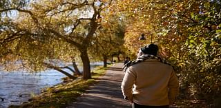 How a practice called forest bathing can boost your physical and mental health