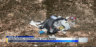 St. Landry Crime Stoppers may soon accept tips concerning litter violations