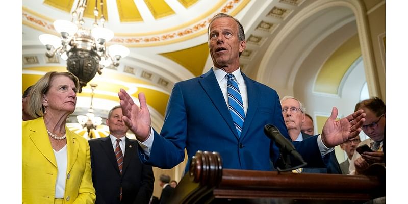 Thune urges Trump to stay out of race to replace McConnell