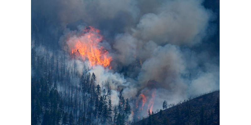 Department of Homeland Security adds sniffing device to AI tools helping fight wildfires in Colorado