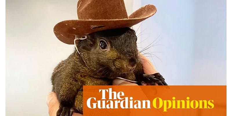 RIP Peanut the squirrel. At least he wasn’t flushed away like Pebbles the hamster | Arwa Mahdawi