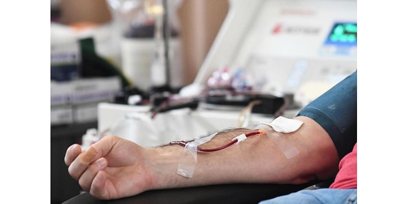 22nd annual Bobby Natalini Jr. Blood Drive set for Nov. 27, 2024 at St. Andrew Church