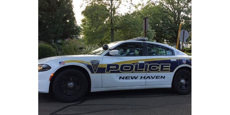 Wallingford Man Critically Injured In Downtown New Haven Hit & Run: PD