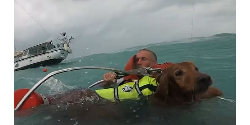 U.S. Coast Guard Saves Man, Dog in Dramatic Video After Hurricane Damages Boat