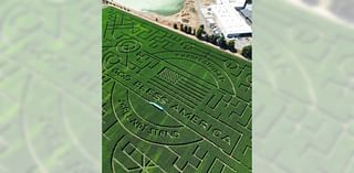 Navigating this world-record corn maze is a test of the human psyche