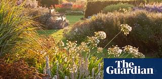 I love gazing at my garden as summer melds into autumn. Then I start to plan