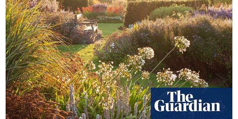 I love gazing at my garden as summer melds into autumn. Then I start to plan