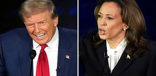 Harris owns a gun? Trump wants to cap credit card rates? Party lines are beginning to blur