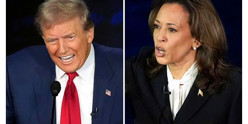 Harris owns a gun? Trump wants to cap credit card rates? Party lines are beginning to blur