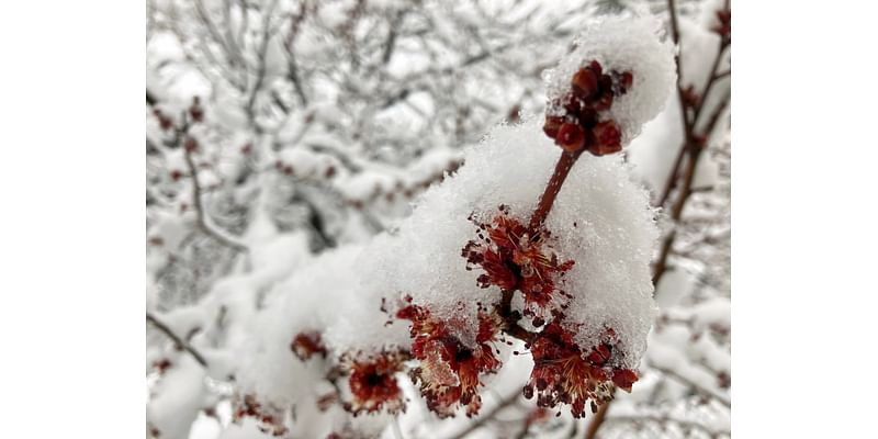 Denver could see first snow Sunday night, plus more next week