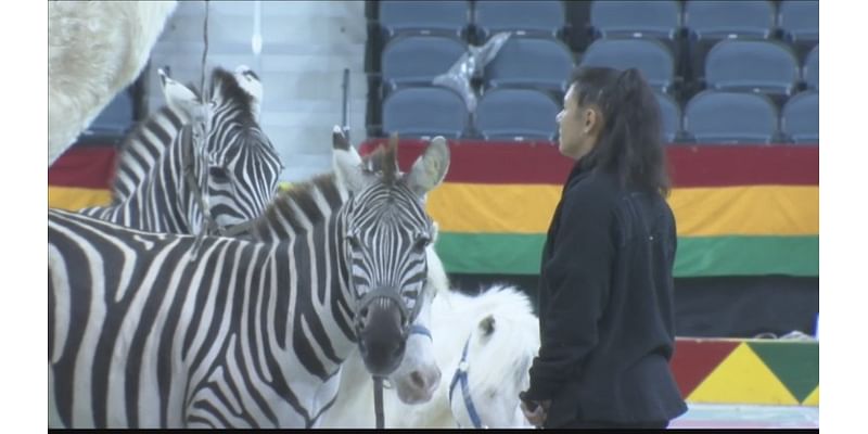 Conditional approval granted for Hadi Shrine Circus animal exhibition permit