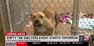 FWACC joins the ‘Empty the Shelters’ program this October