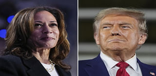 Final Polls Show Kamala Harris' Chances of Winning Election vs Donald Trump