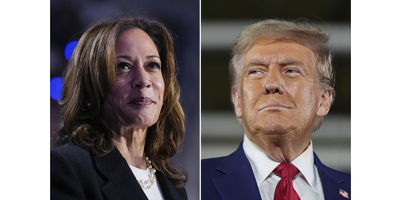 Final Polls Show Kamala Harris' Chances of Winning Election vs Donald Trump