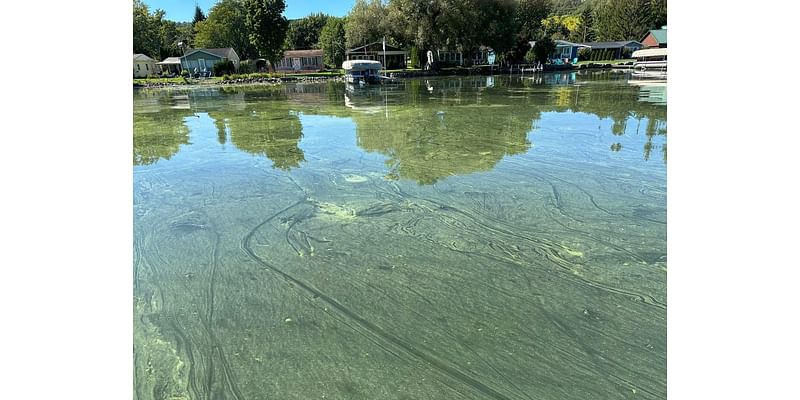 Toxic Algae is now on every Finger Lake except one