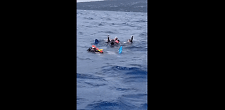 ‘Out of control,’ diver says after others lost at sea for hours