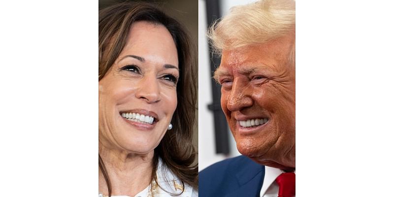 From borders to 'Handmaid's Tale,': What scares Trump, Harris Voters most