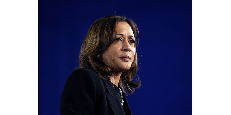 What does Kamala Harris’s loss in the 2024 election mean for the US?