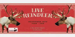 Meet Live Reindeer at Crossroads Center Mall This Weekend