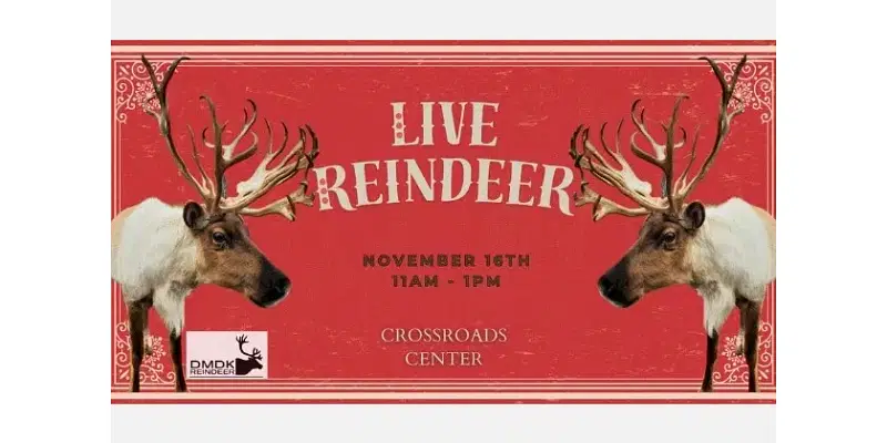 Meet Live Reindeer at Crossroads Center Mall This Weekend