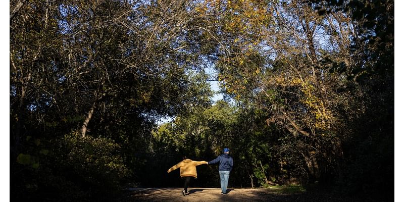 Cooler-than-average temperatures forecast for the Austin area next week