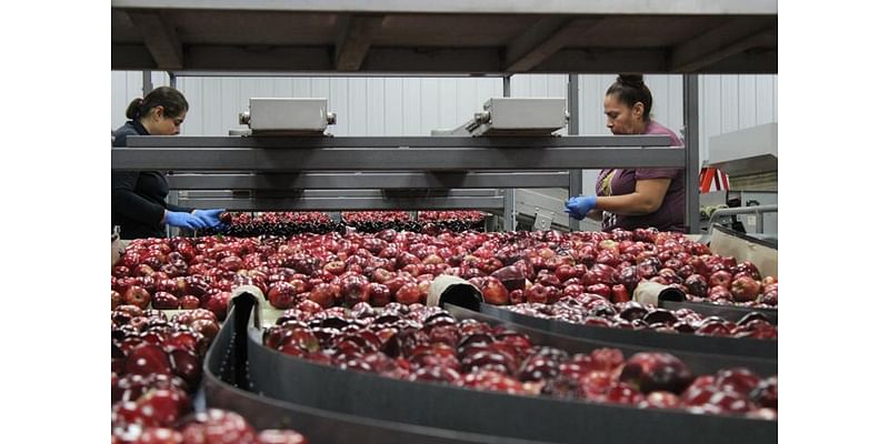 Even after two years of drought, central WA irrigation district can point to successes