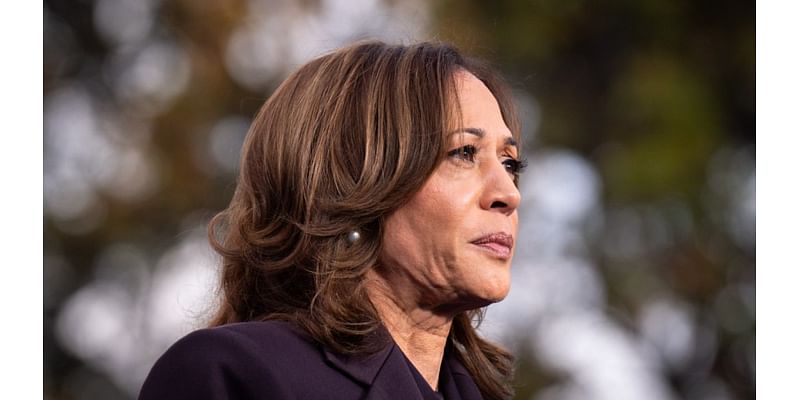 Opinion - Kamala Harris’s Humpty Dumpty candidacy