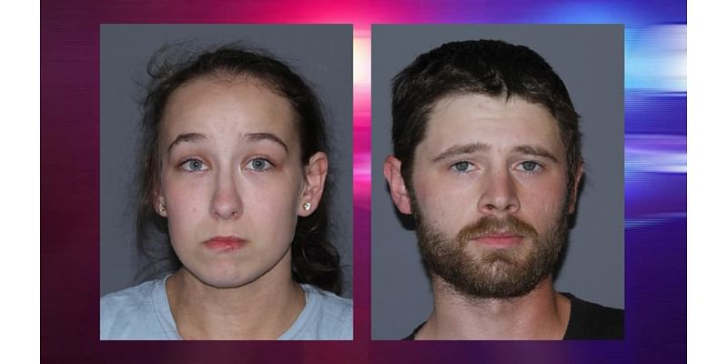 Two Elmira residents arrested on burglary/theft charges in Horseheads