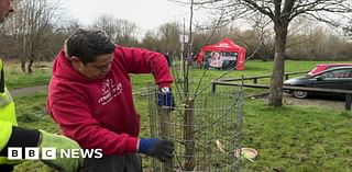 Orchard planting charity Freely Fruity receives King's volunteering award