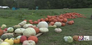 Popular Hartselle farm struggles under drought conditions