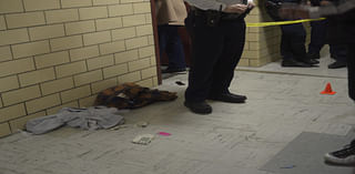 Man fatally shot in hallway at Bronx NYCHA building