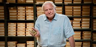 David Attenborough is left 'profoundly disturbed' to learn AI is being used to clone his voice for fake news reports