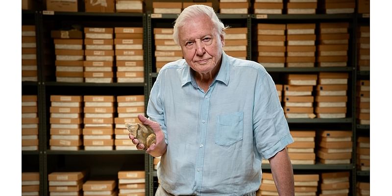 David Attenborough is left 'profoundly disturbed' to learn AI is being used to clone his voice for fake news reports