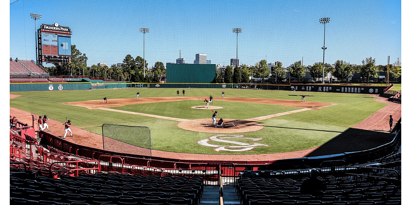 South Carolina baseball's humble placement in program rankings