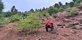 Boys rescued near Balanced Rock at Palmer Lake Reservoir