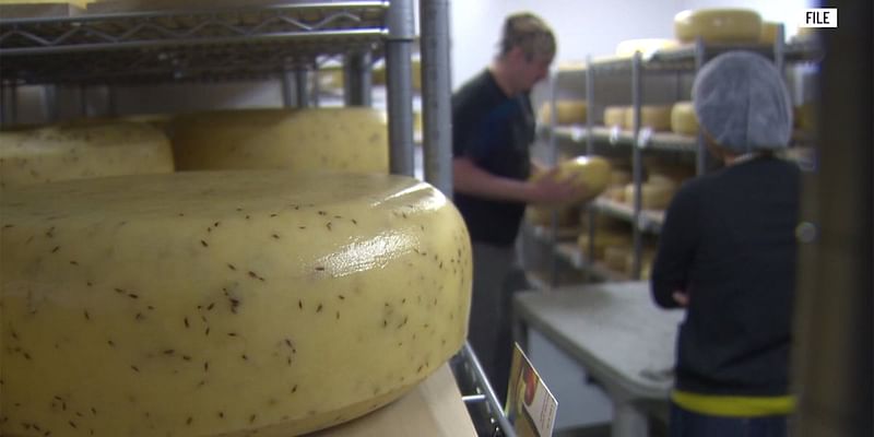 State officials call potential Grafton Village Cheese sale a success story