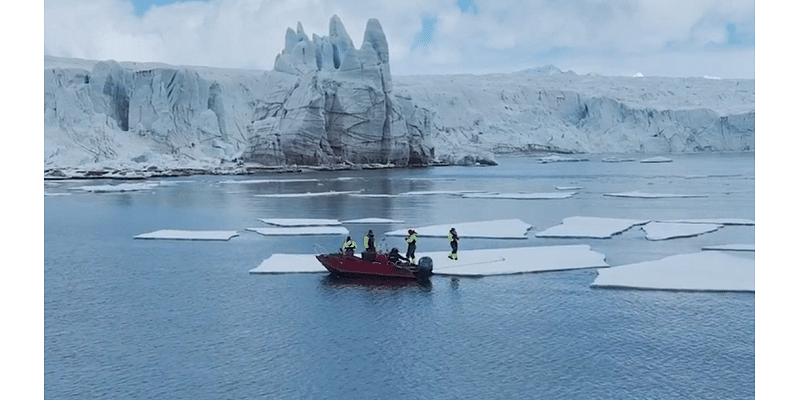 SeaWorld Orlando announces new Artic flying theater attraction coming in 2025