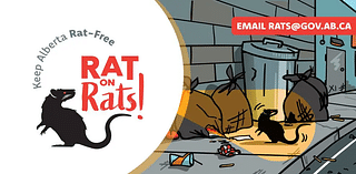 $110,000 investment reminds Albertans to 'Rat on Rats'