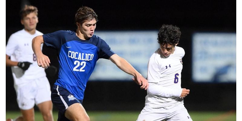 L-L League boys soccer teams face challenging roads in PIAA tournament