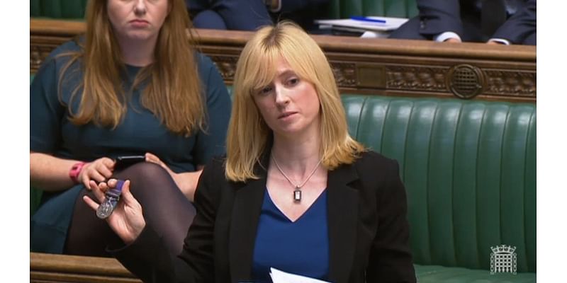 Rosie Duffield’s resignation letter in full