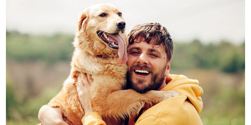 What is a golden retriever boyfriend? All about the pet-inspired personality type