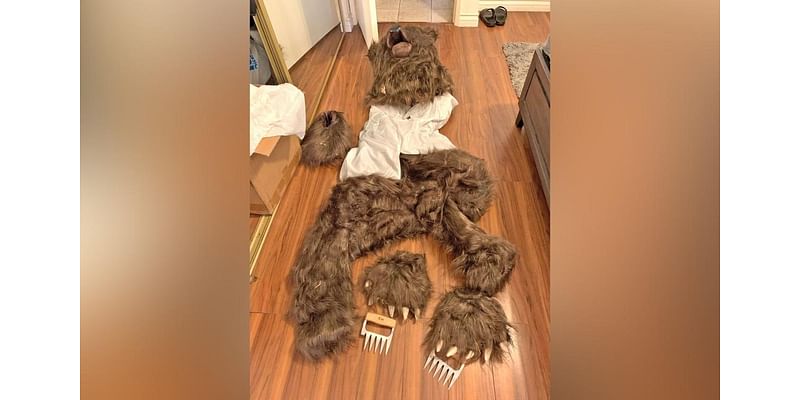 Man dresses as bear and trashes Rolls-Royce in ‘insurance scam’