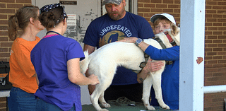 Local veterinarians provide care to animals affected by Unicoi Co. flooding