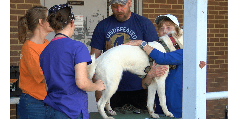 Local veterinarians provide care to animals affected by Unicoi Co. flooding