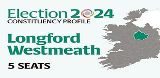 Longford-Westmeath Election 2024: Who are the candidates and who could make gains? Everything you need to know before voting