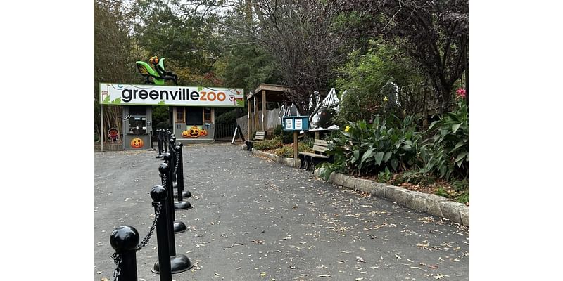 Greenville Zoo increases investment in conservation projects, seeks support